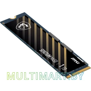 SSD диск MSI Spatium M450 V1 1TB (S78-440L0M0-P83) картинка 3